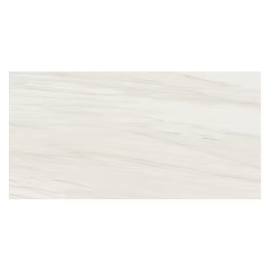 Belucci Bianca Matte Porcelain Tile, 12 x 24 (photo 2 of 3)